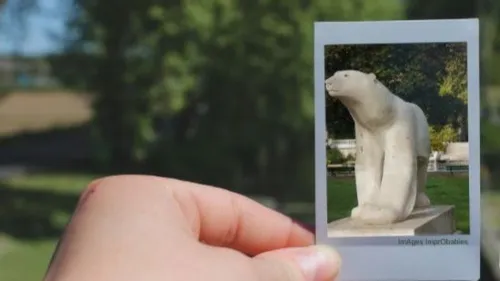 Envoyez vos photos du jardin Darcy 